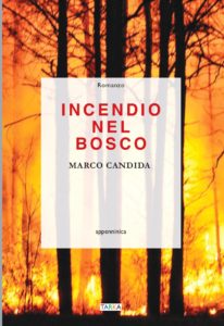 Marco Candida Incendio Nel Bosco Satisfiction