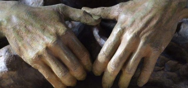 Sono loro queste mani