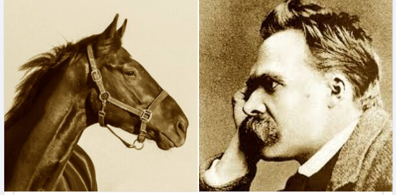 Il cavallo a Torino ha abbracciato Nietzsche