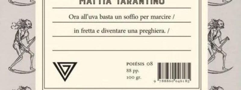 L’età dell’uva. Intervista a Mattia Tarantino